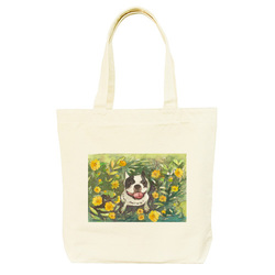 フレンチブルドッグ１