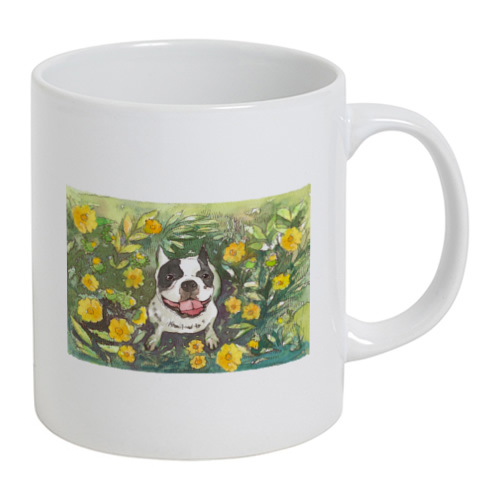 フレンチブルドッグ１