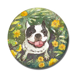 フレンチブルドッグ１