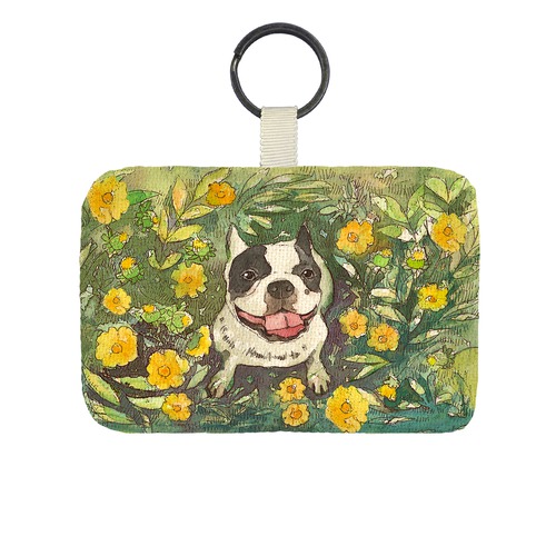 フレンチブルドッグ１