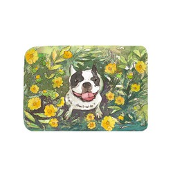 フレンチブルドッグ１