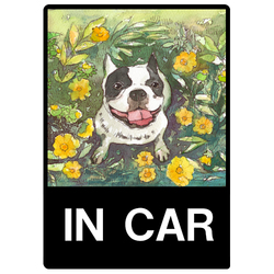 フレンチブルドッグ1