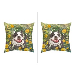 フレンチブルドッグ１