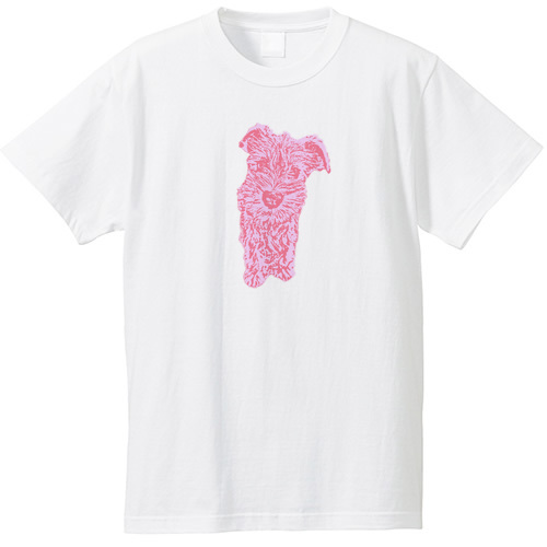 キャンディカラー