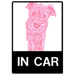 キャンディカラー