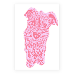 キャンディカラー