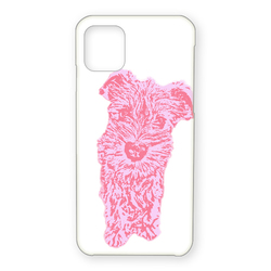 キャンディカラー