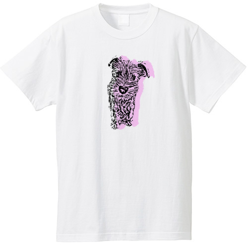 カラーシルエット