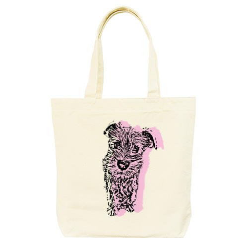 カラーシルエット