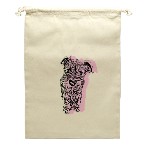 カラーシルエット