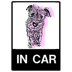 カラーシルエット