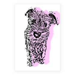 カラーシルエット