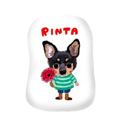 RINTA