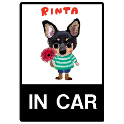 RINTA