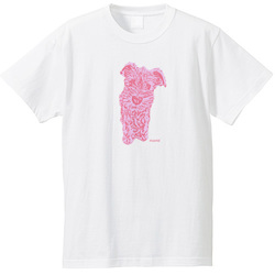 mameキャンディカラー