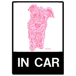 mameキャンディカラー