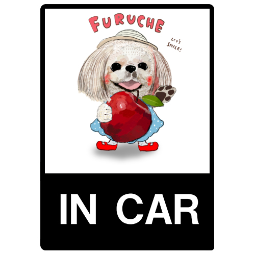 FURUCHE