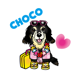 デザイン名/ チョコちゃんアロハグッズ