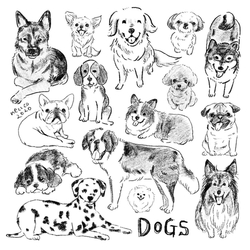 デザイン名/ Dogs