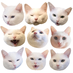 デザイン名/ Yone 2020