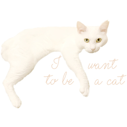 デザイン名/ Yone 2019-2