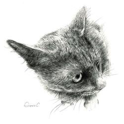 デザイン名/ QueenC 5