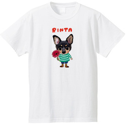 RINTA