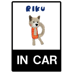 RIKU