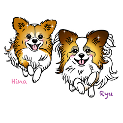 デザイン名/ りゅうちゃん、ひなちゃんグッズ