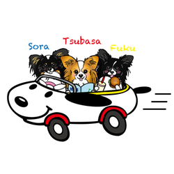 デザイン名/ 翼・空・福グッズ