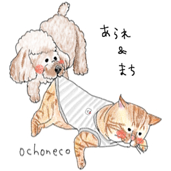 デザイン名/ あられ＆まちさん