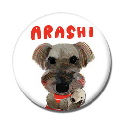 ARASHI
