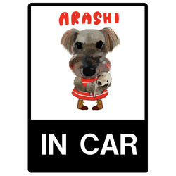 ARASHI