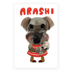ARASHI