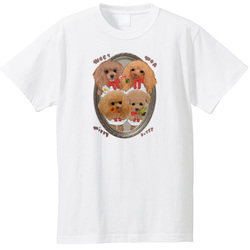 MOA KITTY MOET MIRRY