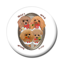 MOA KITTY MOET MIRRY