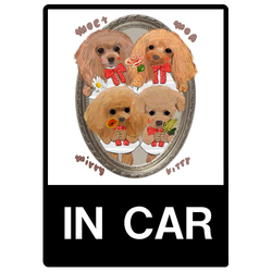 MOA KITTY MOET MIRRY