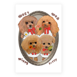 MOA KITTY MOET MIRRY