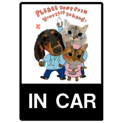 AVALON & Regin & marc