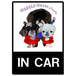 celery, tomato, marble