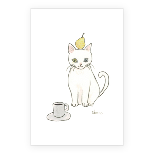shoco_白猫1