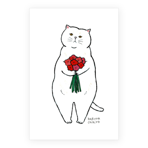 はくたちひろ_白猫1