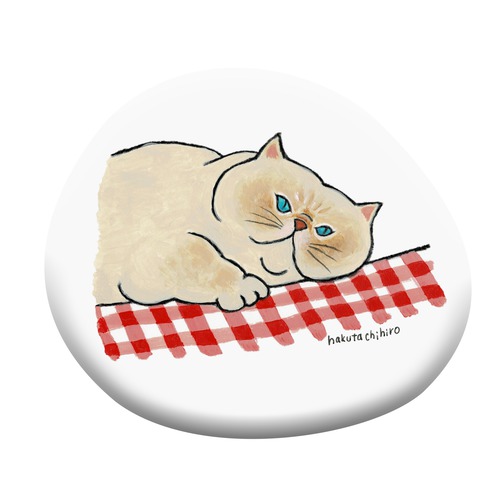 はくたちひろ_白猫2