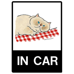 はくたちひろ_白猫2