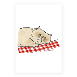 はくたちひろ_白猫2