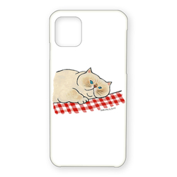 はくたちひろ_白猫2