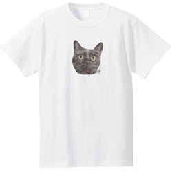 アイテムサンプル