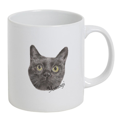 アイテムサンプル