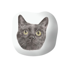 アイテムサンプル