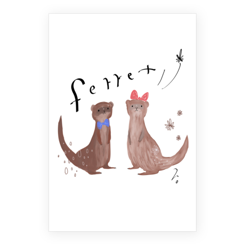 フェレットカップル